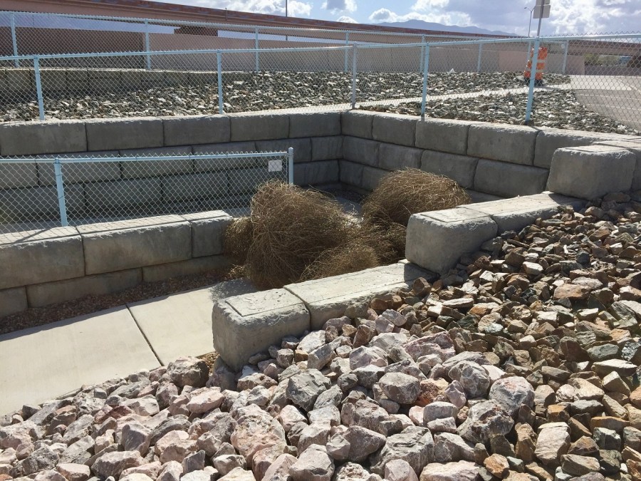 tumbleweed pedestrians