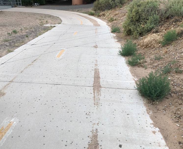 in pavement between bosque path and gail ryba bridge