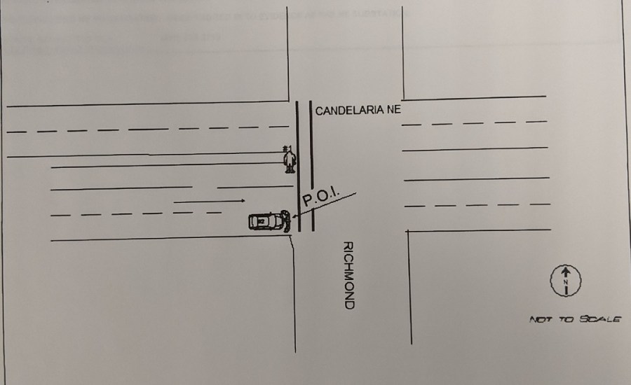 Ronald Nez Drawing Cropped