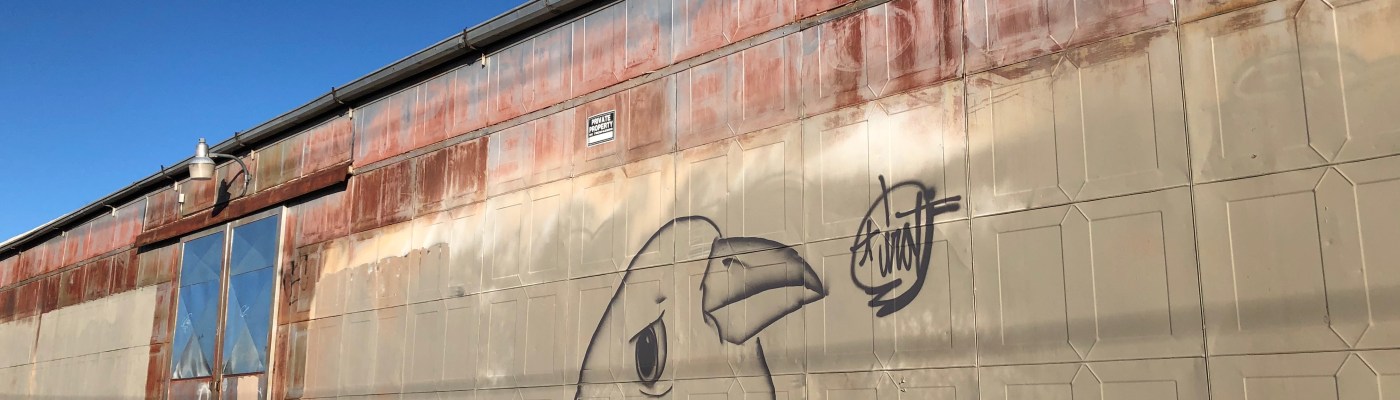 Albuquerque bird graffiti