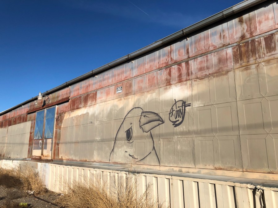 Albuquerque bird graffiti
