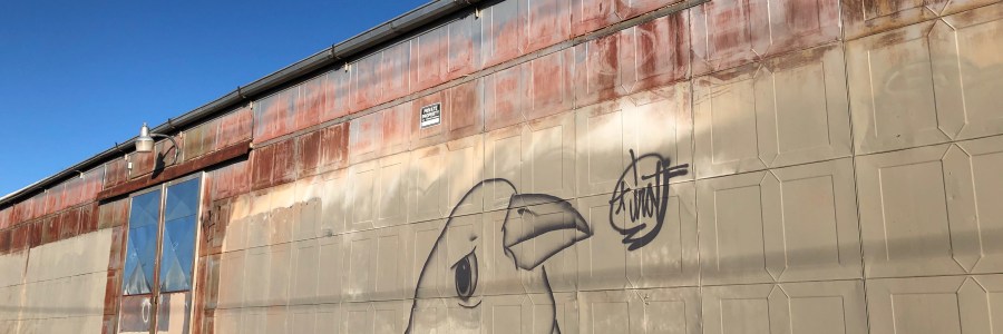 Albuquerque bird graffiti