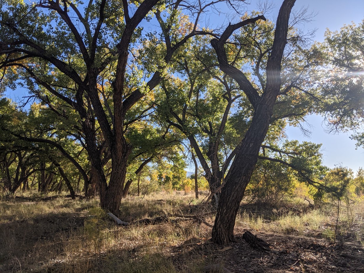 Bosque, Gated Communities and other Slow Cycling Venues – Better Burque